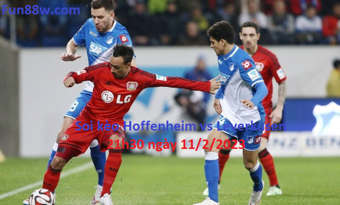 Hoffenheim vs Leverkusen, 21h30 ngày 11/2/2023